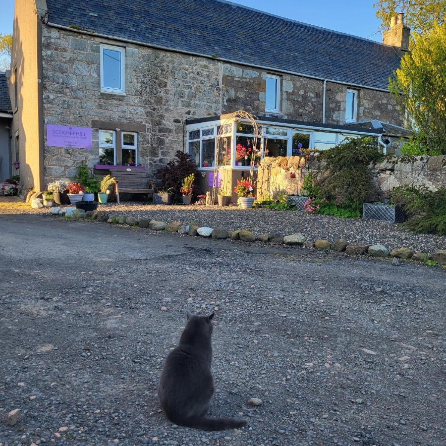 Scooniehill Farm House B&B St. Andrews Exterior foto