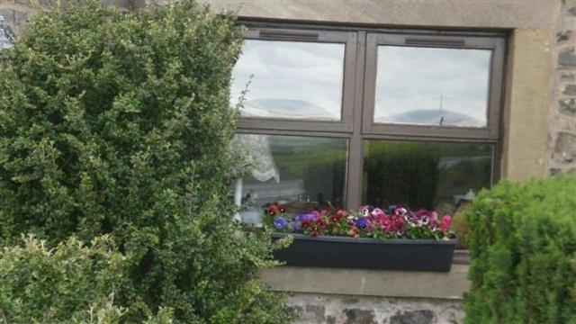 Scooniehill Farm House B&B St. Andrews Quarto foto